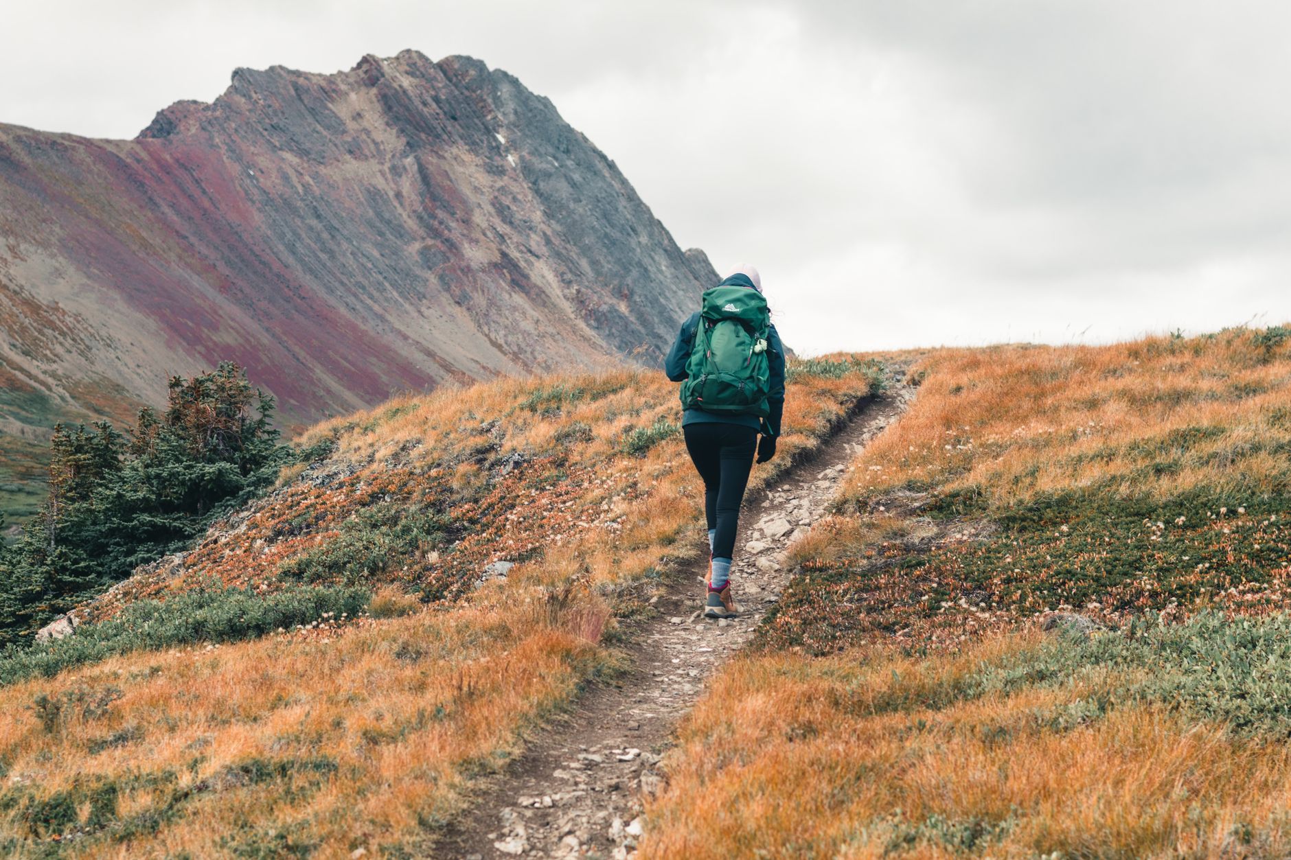 Backpacks — illustrative