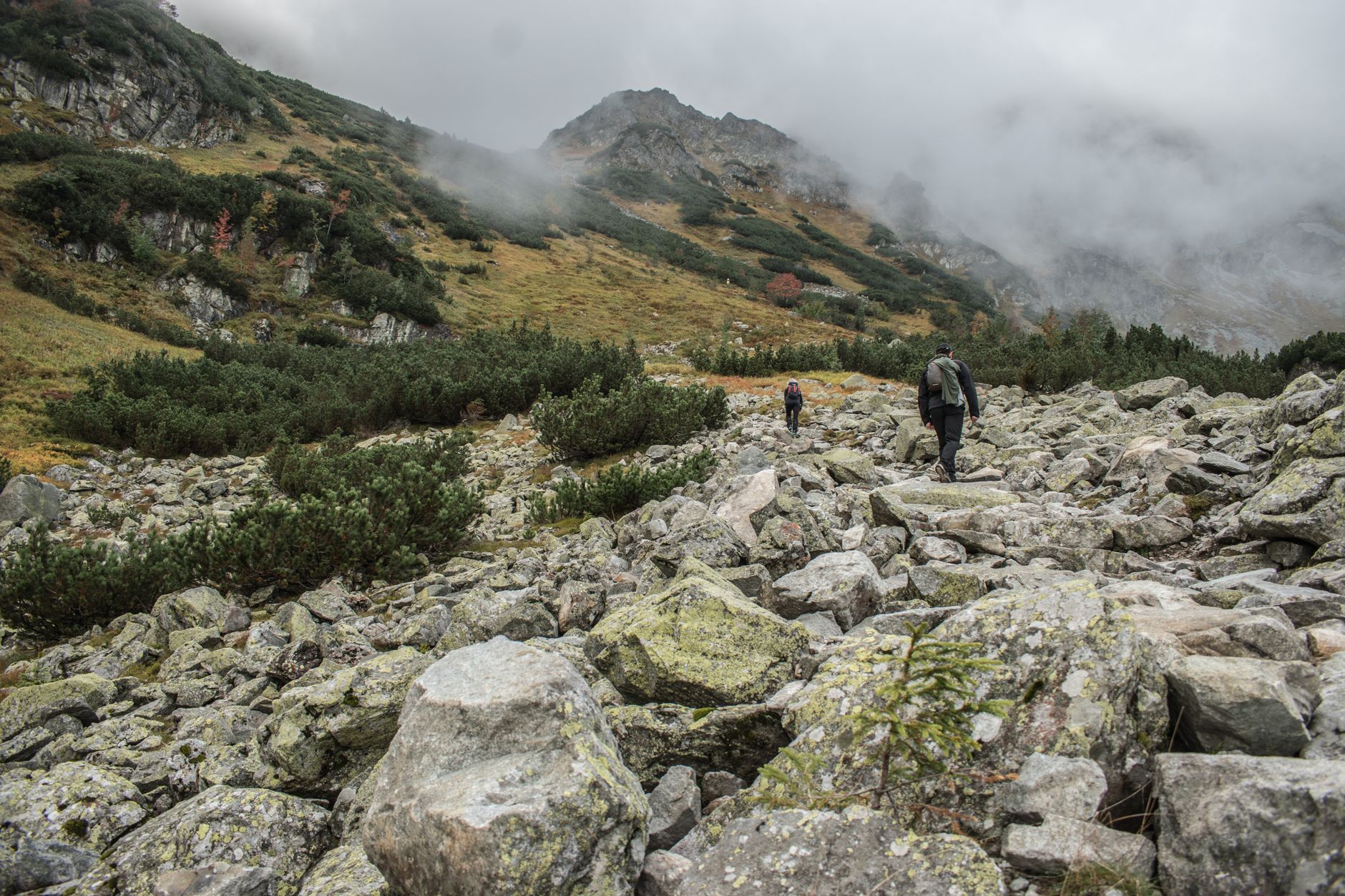 HOKA Speedgoat 5 — Hiking Boots review photo