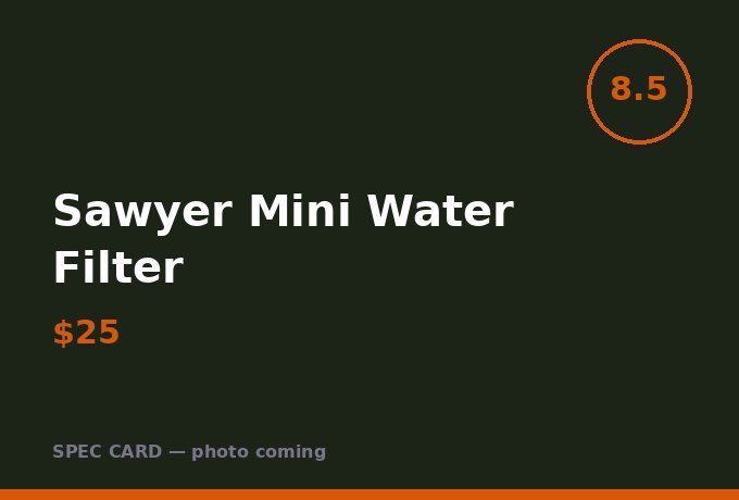 Sawyer Mini Water Filter